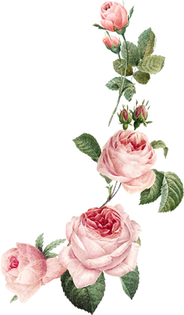 main_footer_image